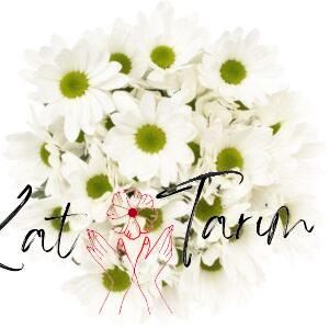 chrysanthemum