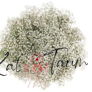 gypsophilia