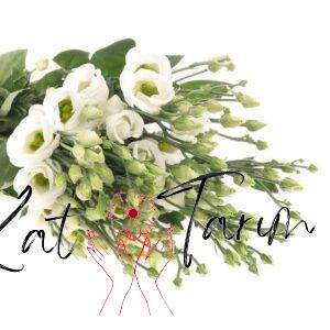 lisianthus