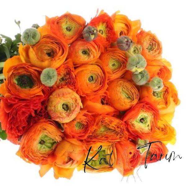 rananculus
